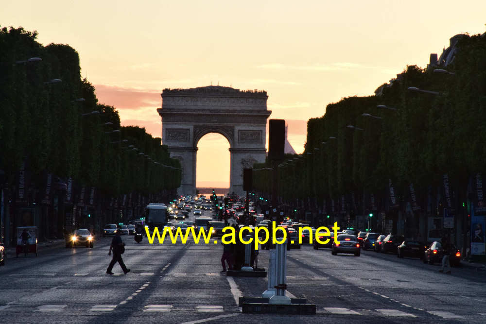 Avenue des Champs-Elysees